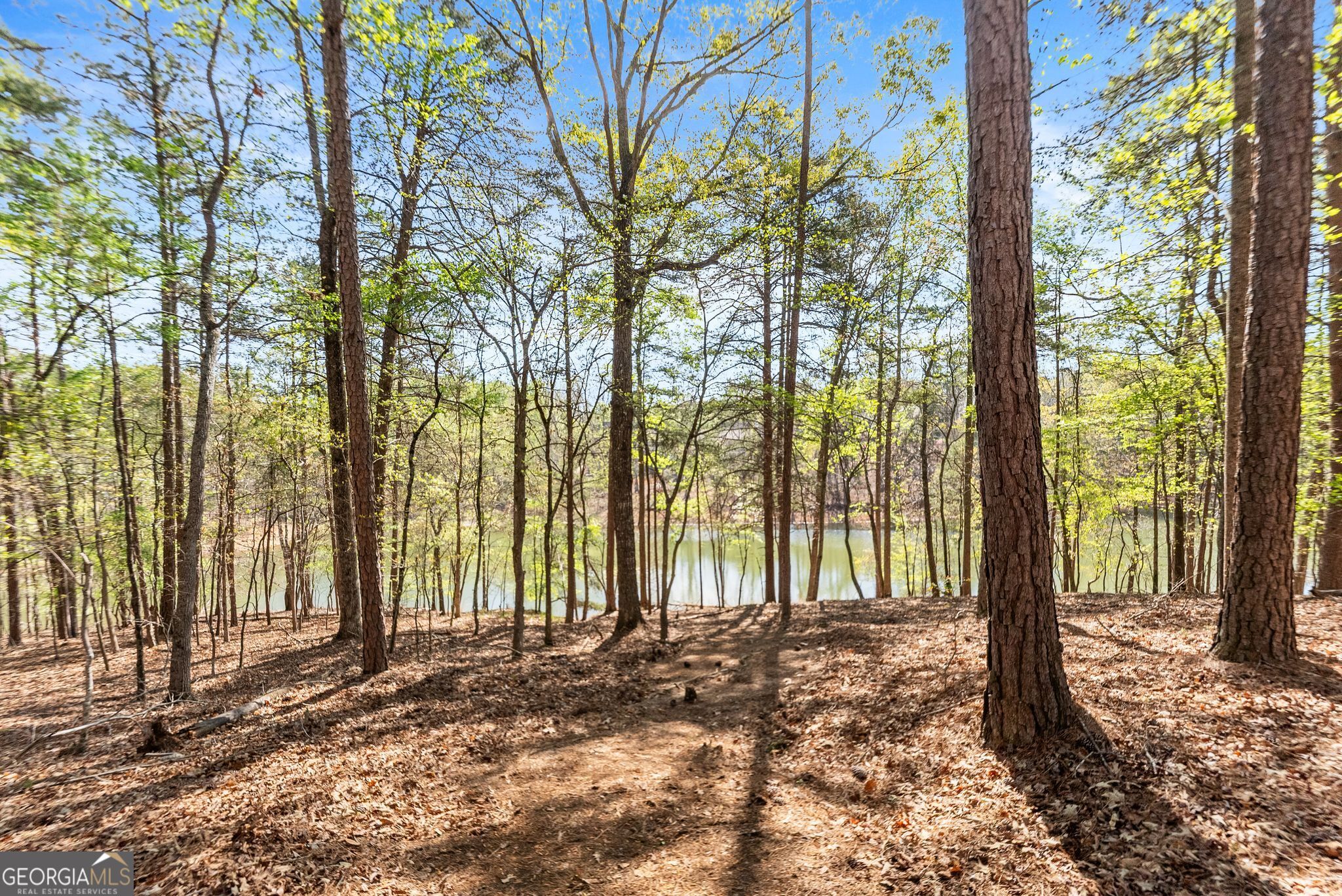6221 Random Winds Bluff Property Photo 91