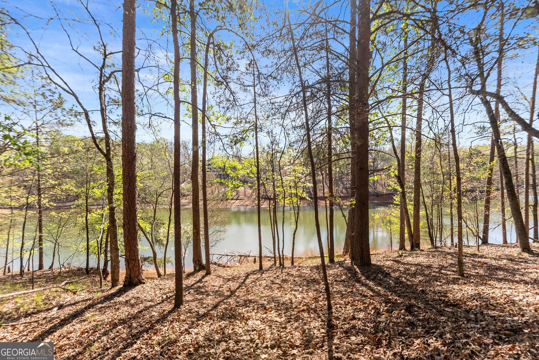 6221 Random Winds Bluff Property Photo 92