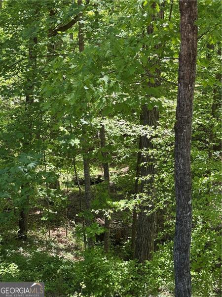 0 Clark Drive Property Photo 1