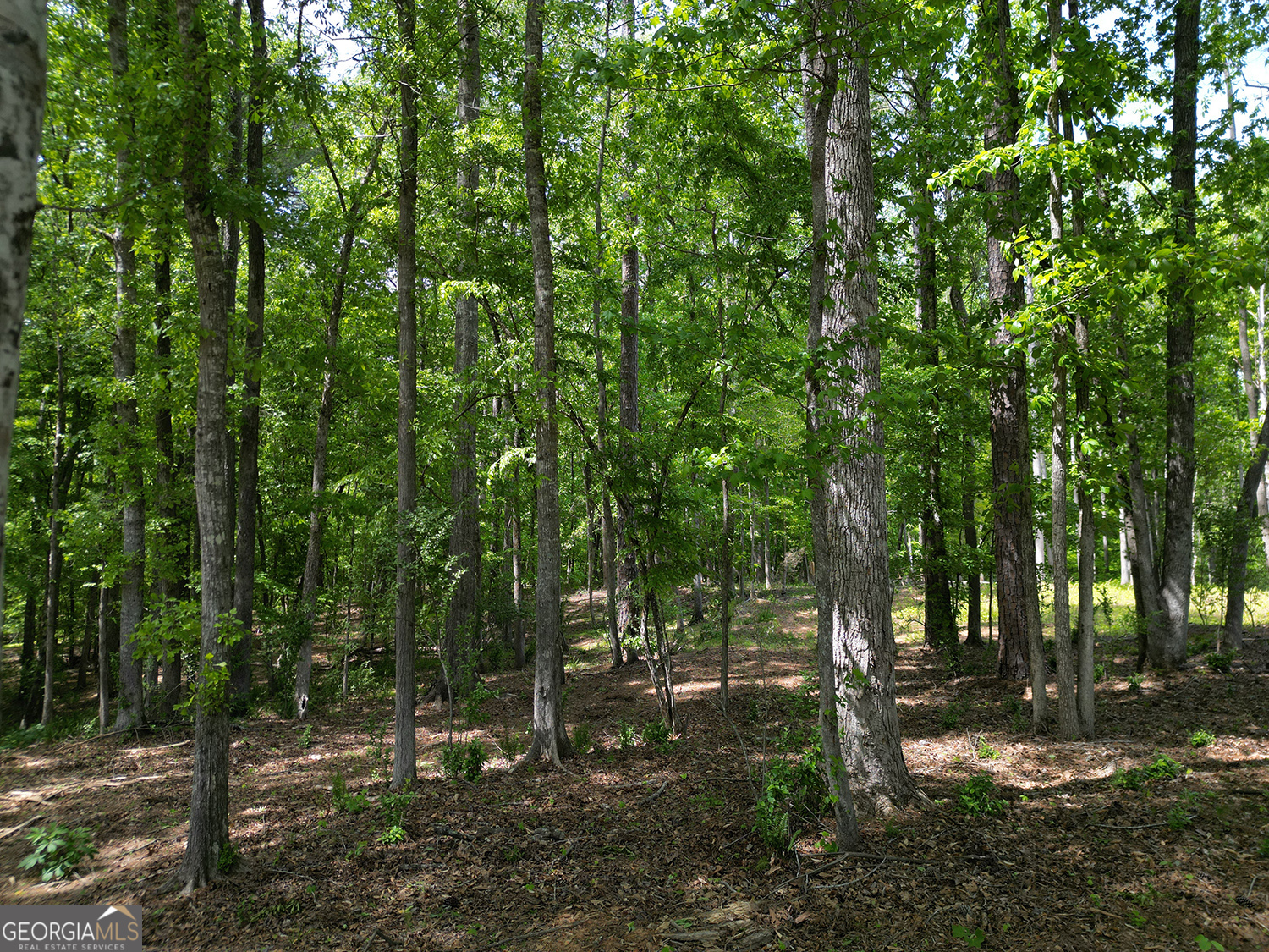 1011 Epple Lane Property Photo 4