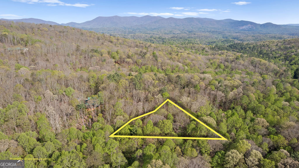 0 Poplar Hollow Road Property Photo 1