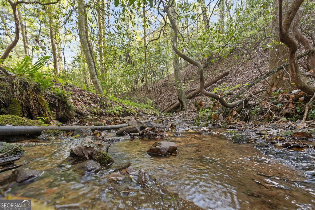 0 Poplar Hollow Road Property Photo 3