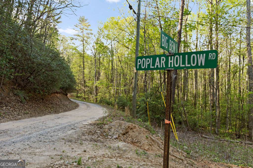 0 Poplar Hollow Road Property Photo 6