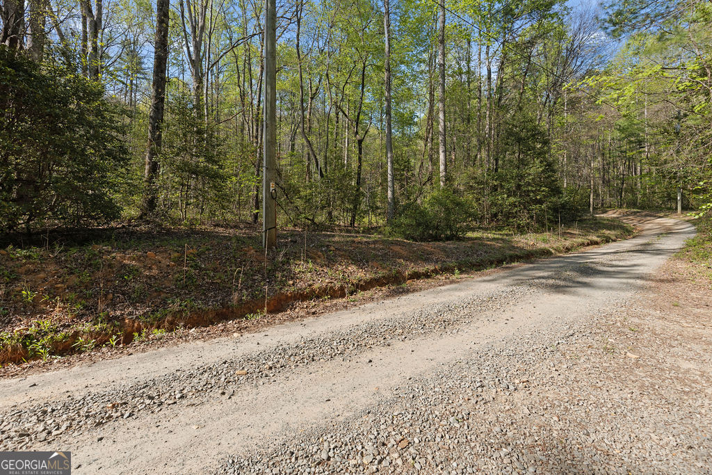 0 Poplar Hollow Road Property Photo 7