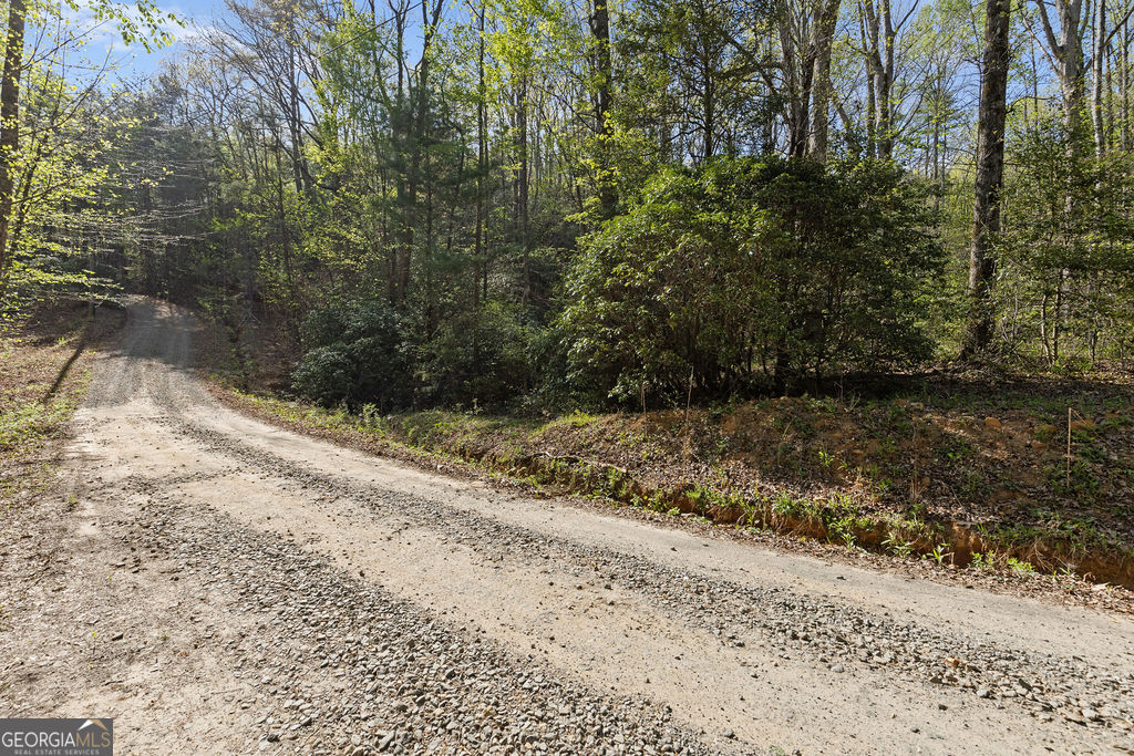 0 Poplar Hollow Road Property Photo 8