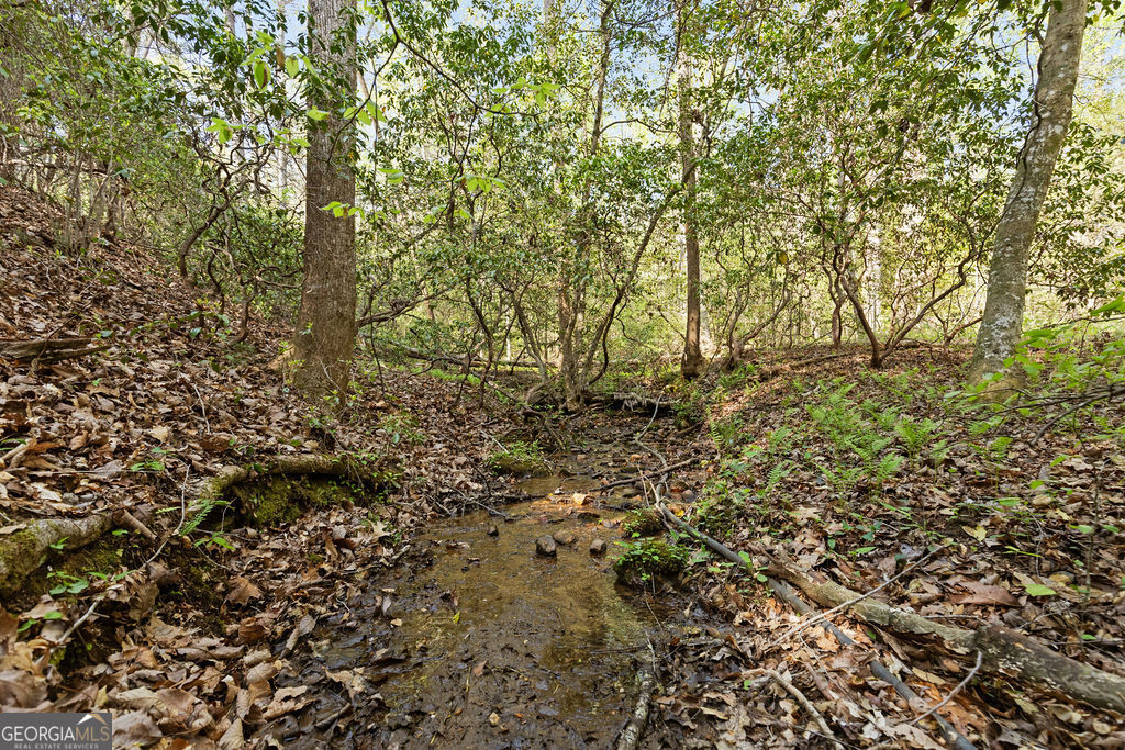 0 Poplar Hollow Road Property Photo 9