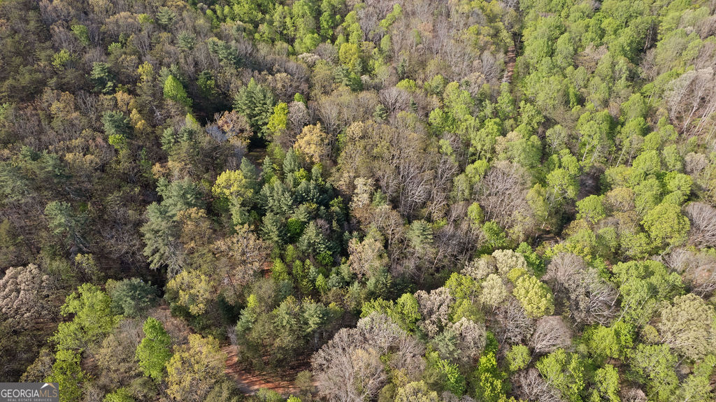 0 Poplar Hollow Road Property Photo 11