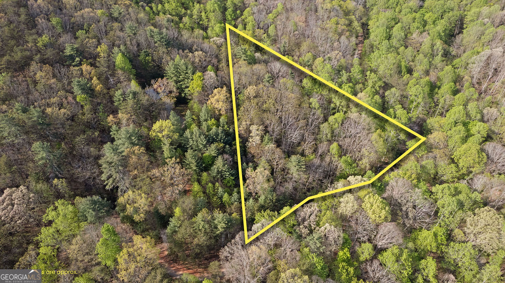 0 Poplar Hollow Road Property Photo 12