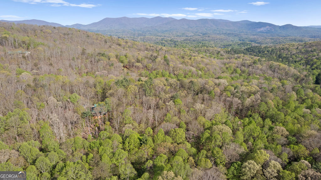 0 Poplar Hollow Road Property Photo 13