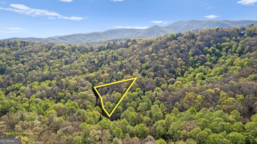 0 Poplar Hollow Road Property Photo 17