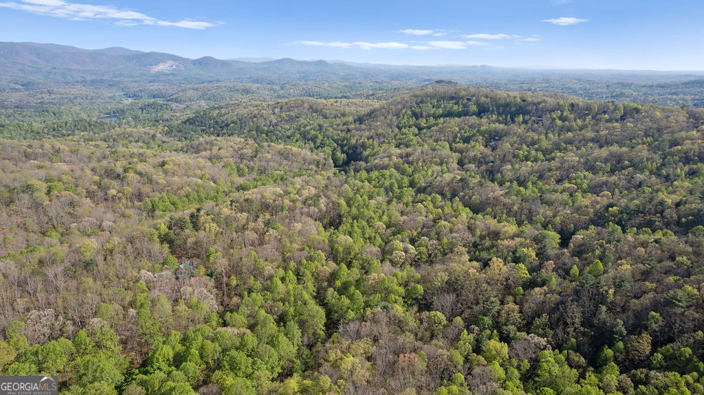 0 Poplar Hollow Road Property Photo 18