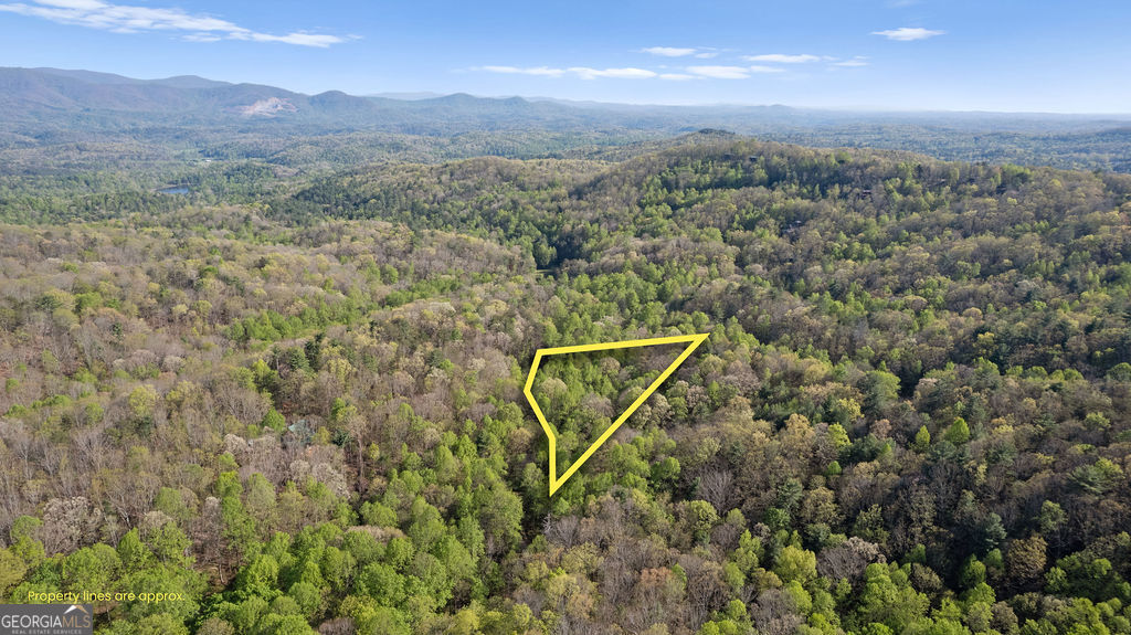0 Poplar Hollow Road Property Photo 19