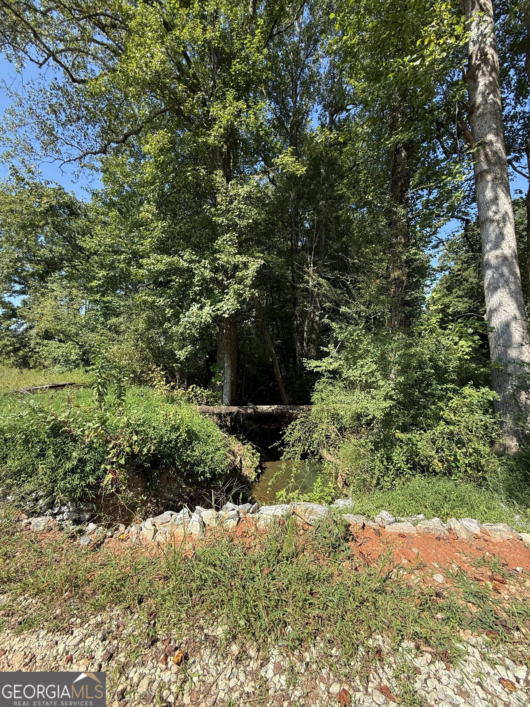 80 Charlotte Circle Property Photo 5