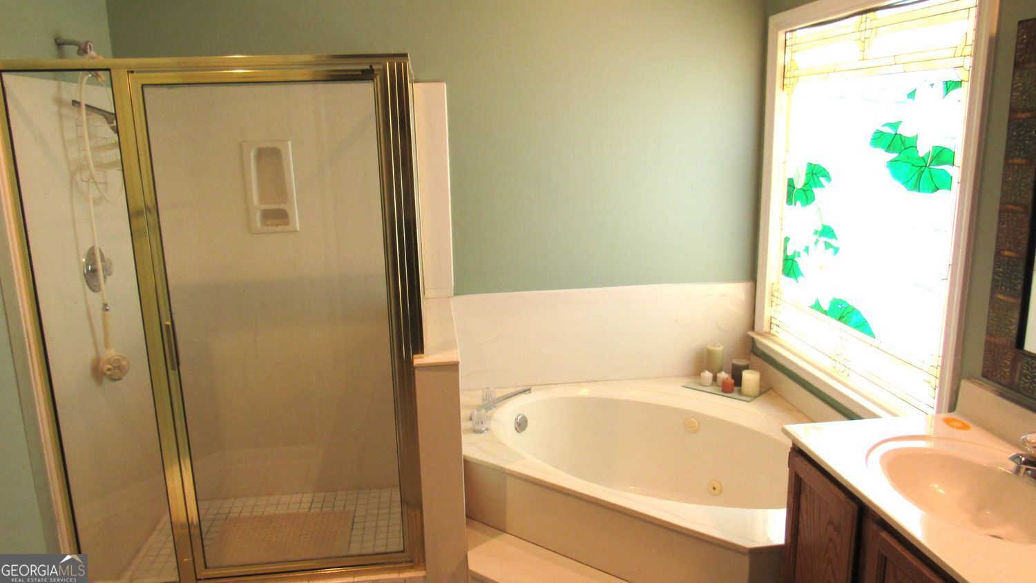 4305 Deep Springs Court Property Photo 13