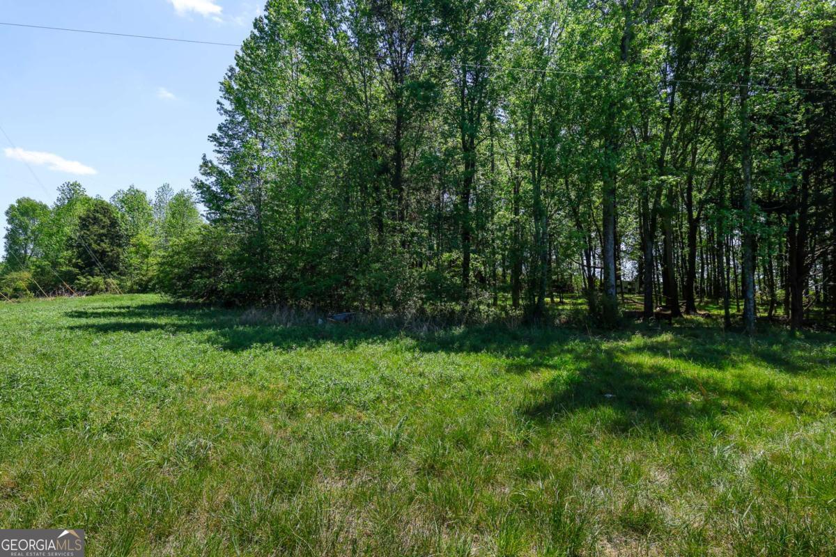 0 Pritchett Road Property Photo 4