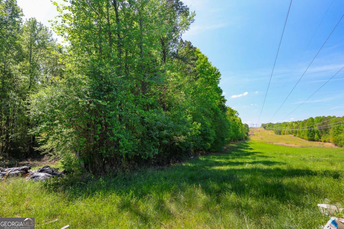 0 Pritchett Road Property Photo 5