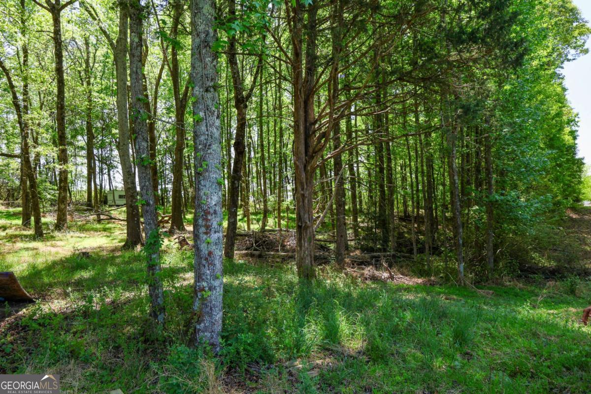 0 Pritchett Road Property Photo 6