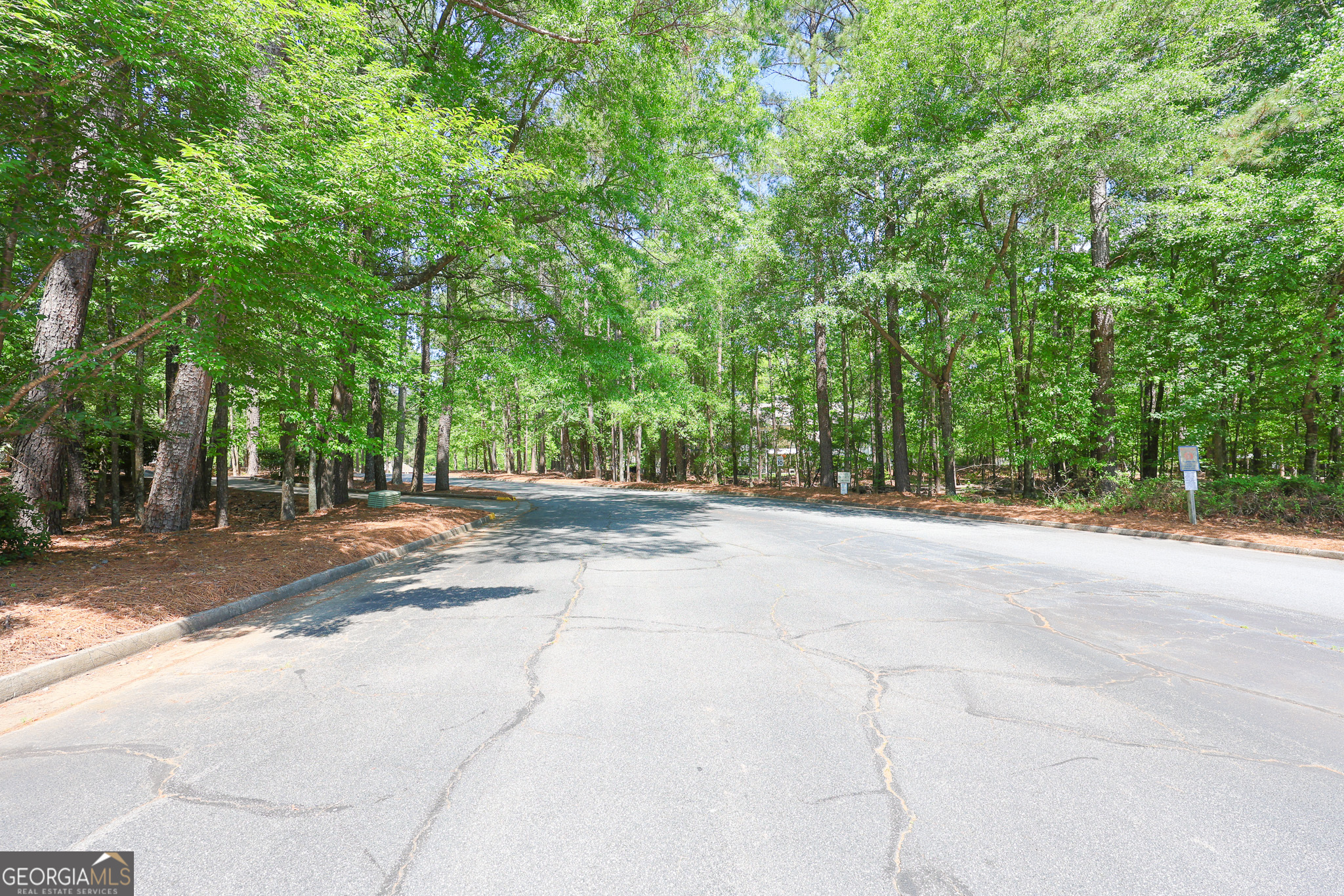 823 Ridgefield Drive Property Photo 69