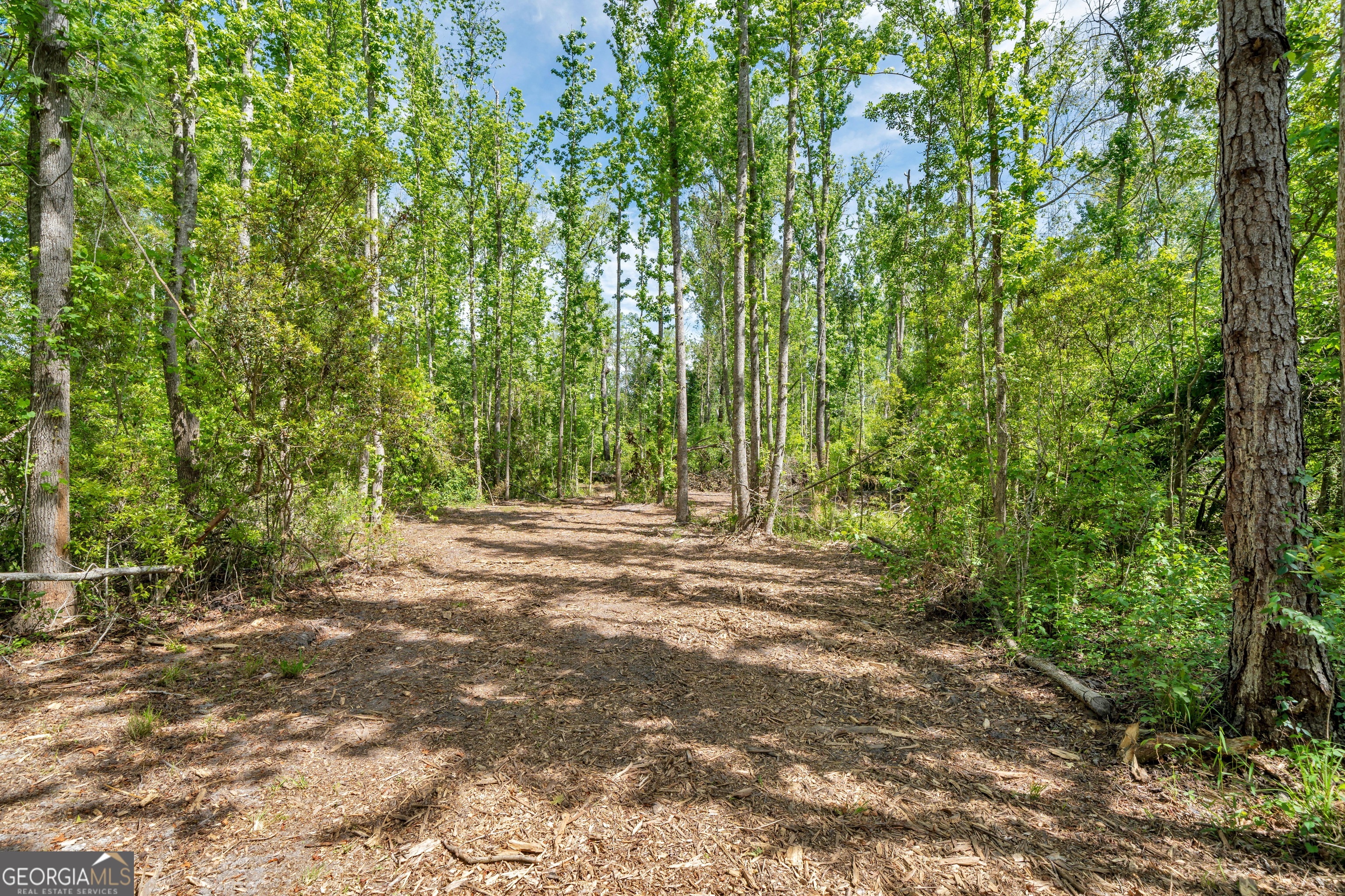 0 Twin Oaks Road Property Photo 3