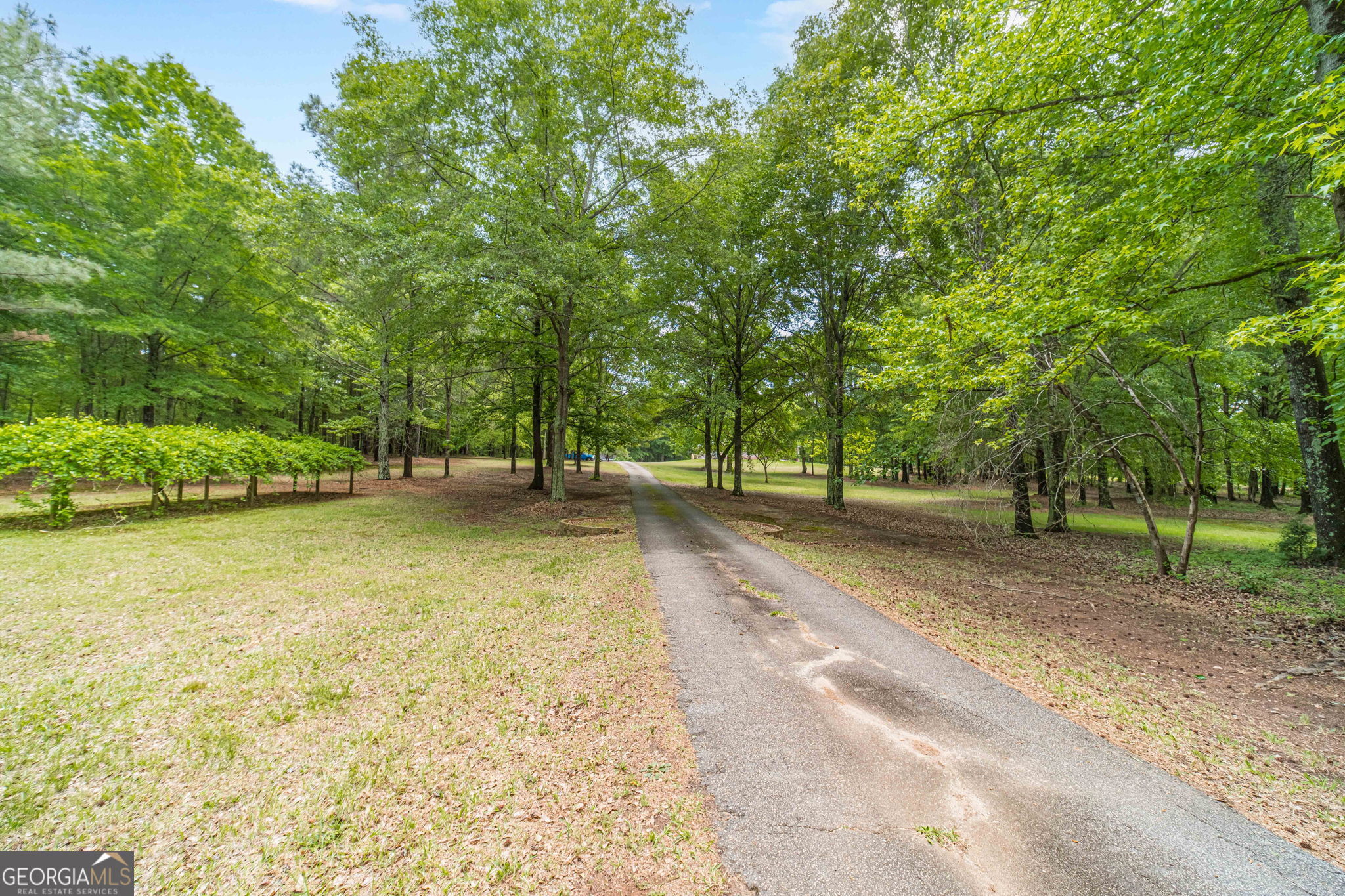 4415 Locklin Road Property Photo 69
