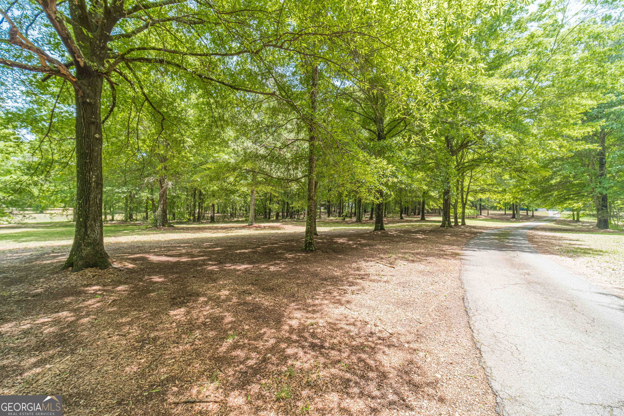 4415 Locklin Road Property Photo 76