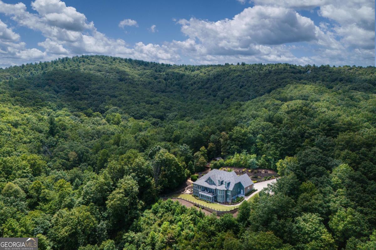 430 Sassafras Mountain Laurel Lane Property Photo 6