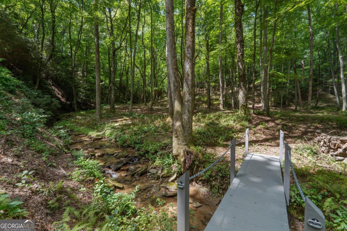 430 Sassafras Mountain Laurel Lane Property Photo 87
