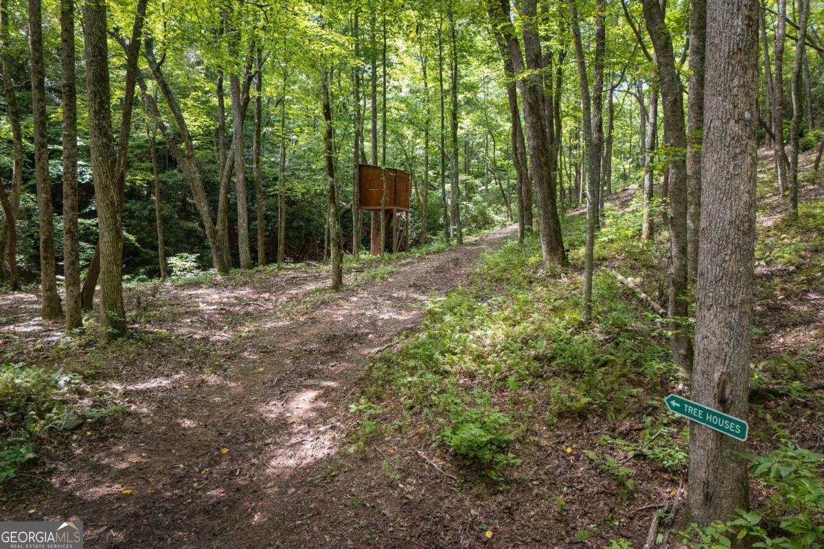 430 Sassafras Mountain Laurel Lane Property Photo 88