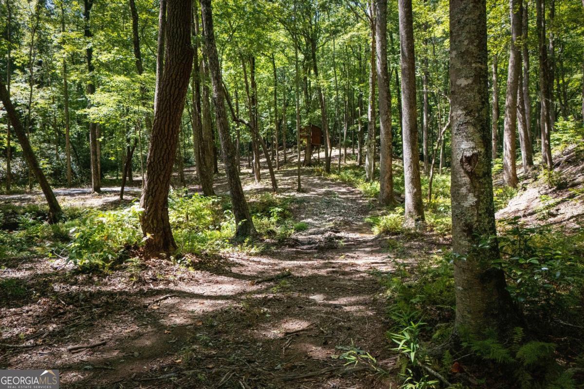 430 Sassafras Mountain Laurel Lane Property Photo 90