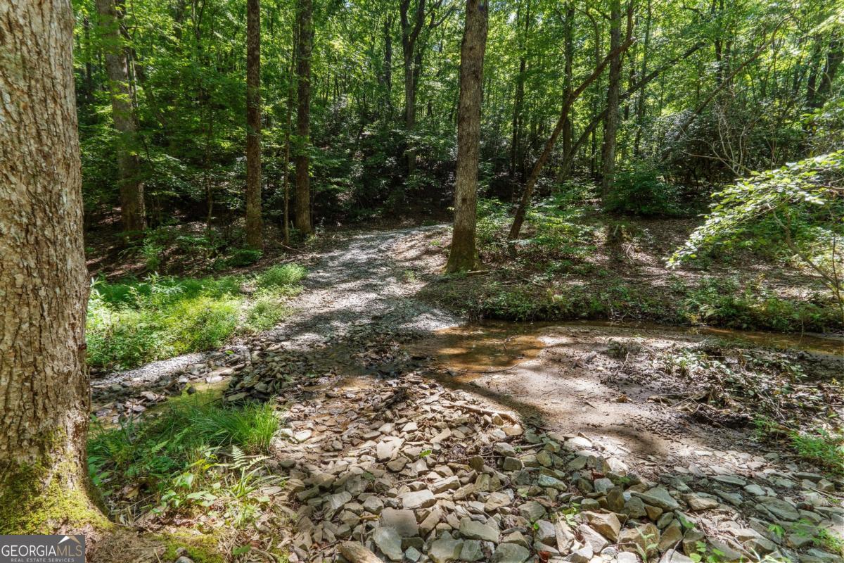 430 Sassafras Mountain Laurel Lane Property Photo 92
