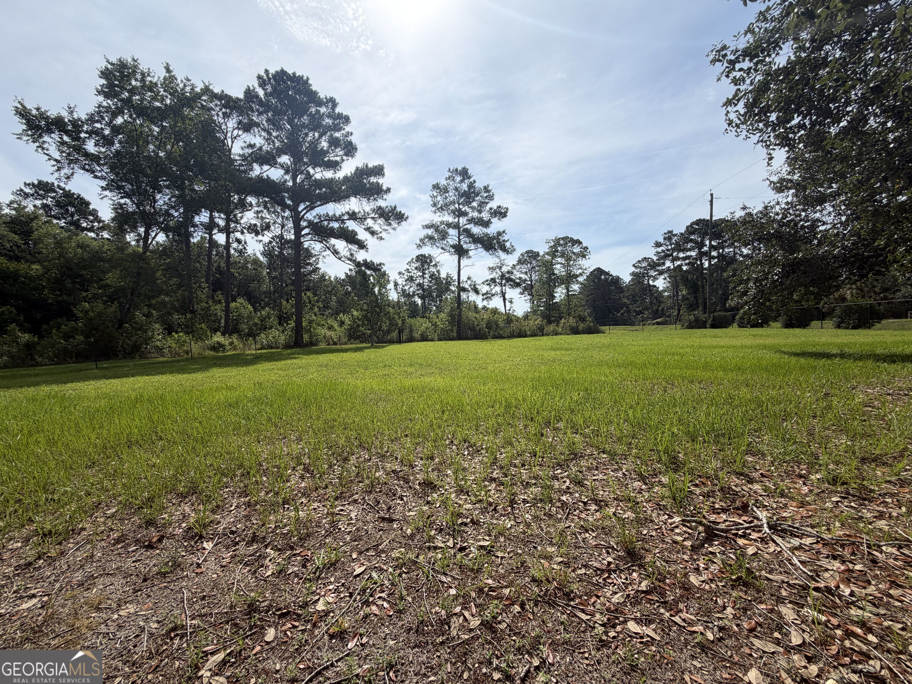3919 Ga Highway 152 Property Photo 3
