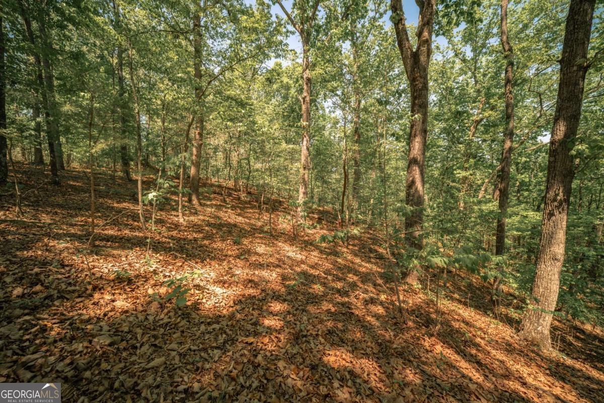 0 Hancock Mountain Trail Property Photo 1