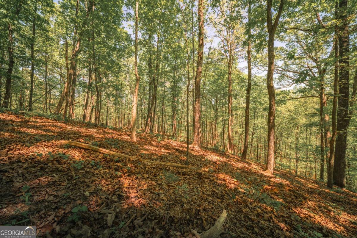 0 Hancock Mountain Trail Property Photo 2