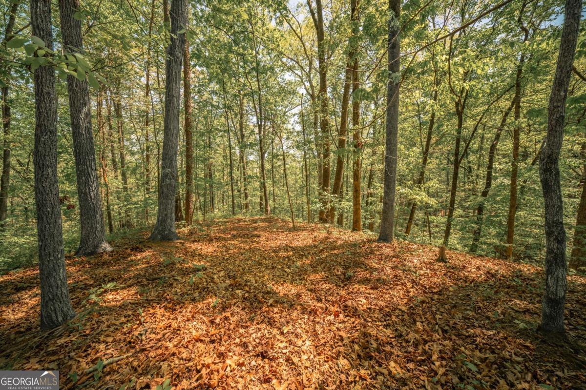 0 Hancock Mountain Trail Property Photo 3
