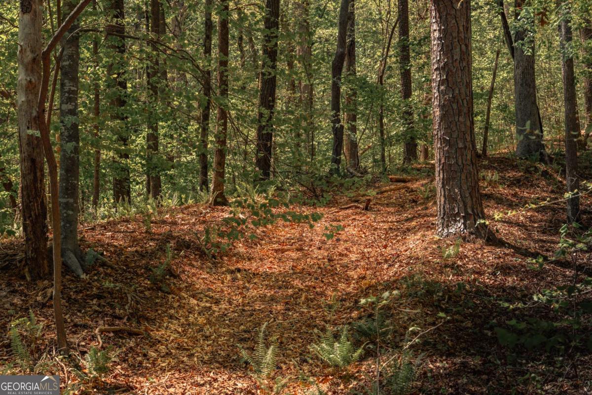 0 Hancock Mountain Trail Property Photo 5