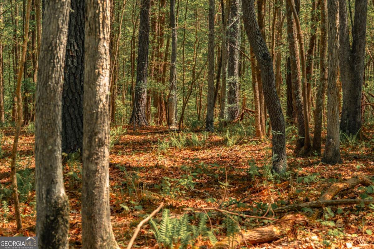 0 Hancock Mountain Trail Property Photo 6