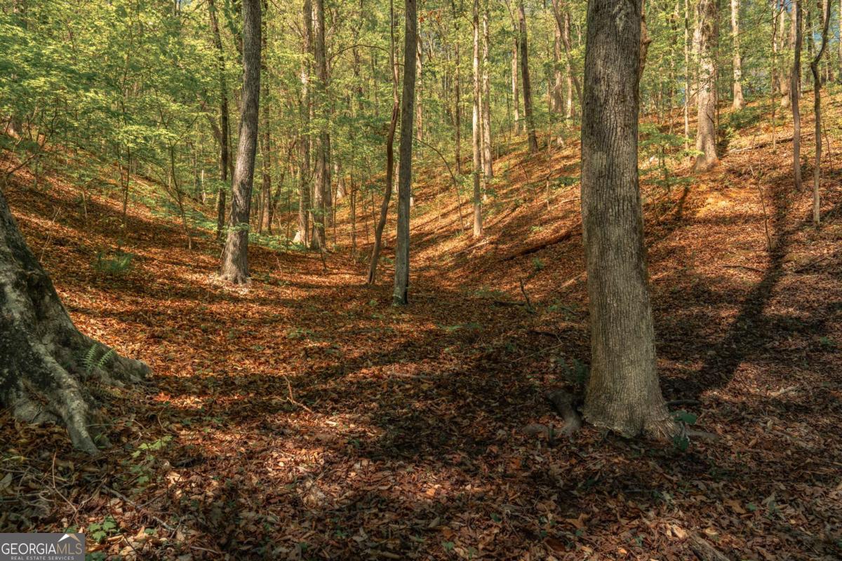 0 Hancock Mountain Trail Property Photo 7