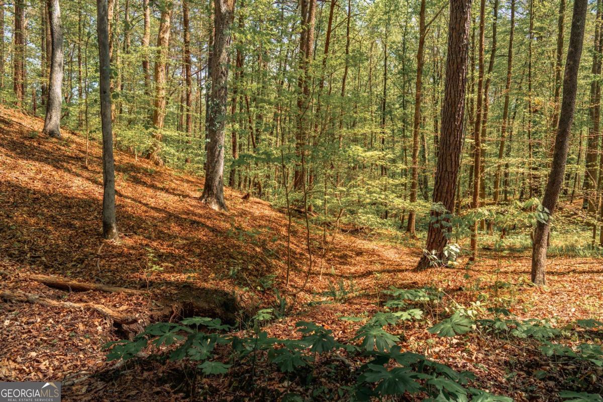 0 Hancock Mountain Trail Property Photo 8