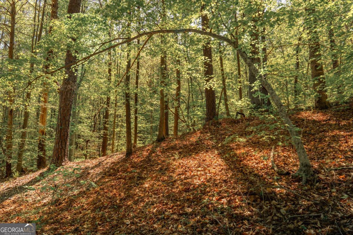0 Hancock Mountain Trail Property Photo 9