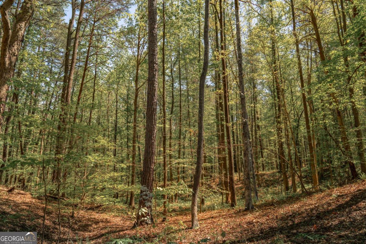 0 Hancock Mountain Trail Property Photo 11