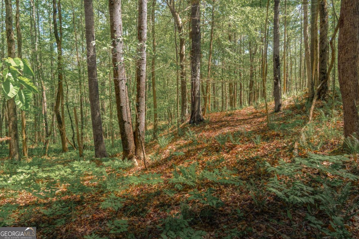 0 Hancock Mountain Trail Property Photo 12