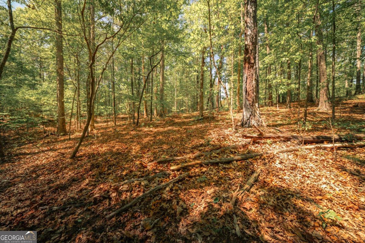0 Hancock Mountain Trail Property Photo 16