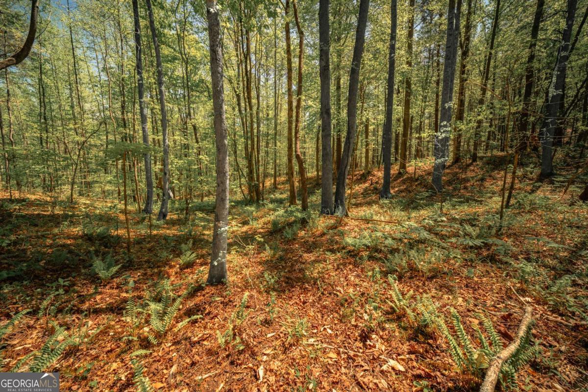 0 Hancock Mountain Trail Property Photo 17