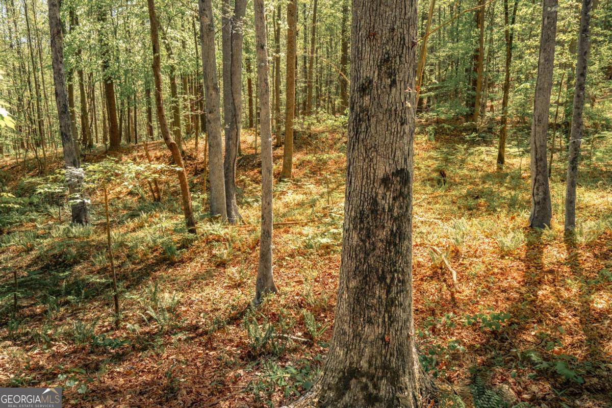 0 Hancock Mountain Trail Property Photo 21