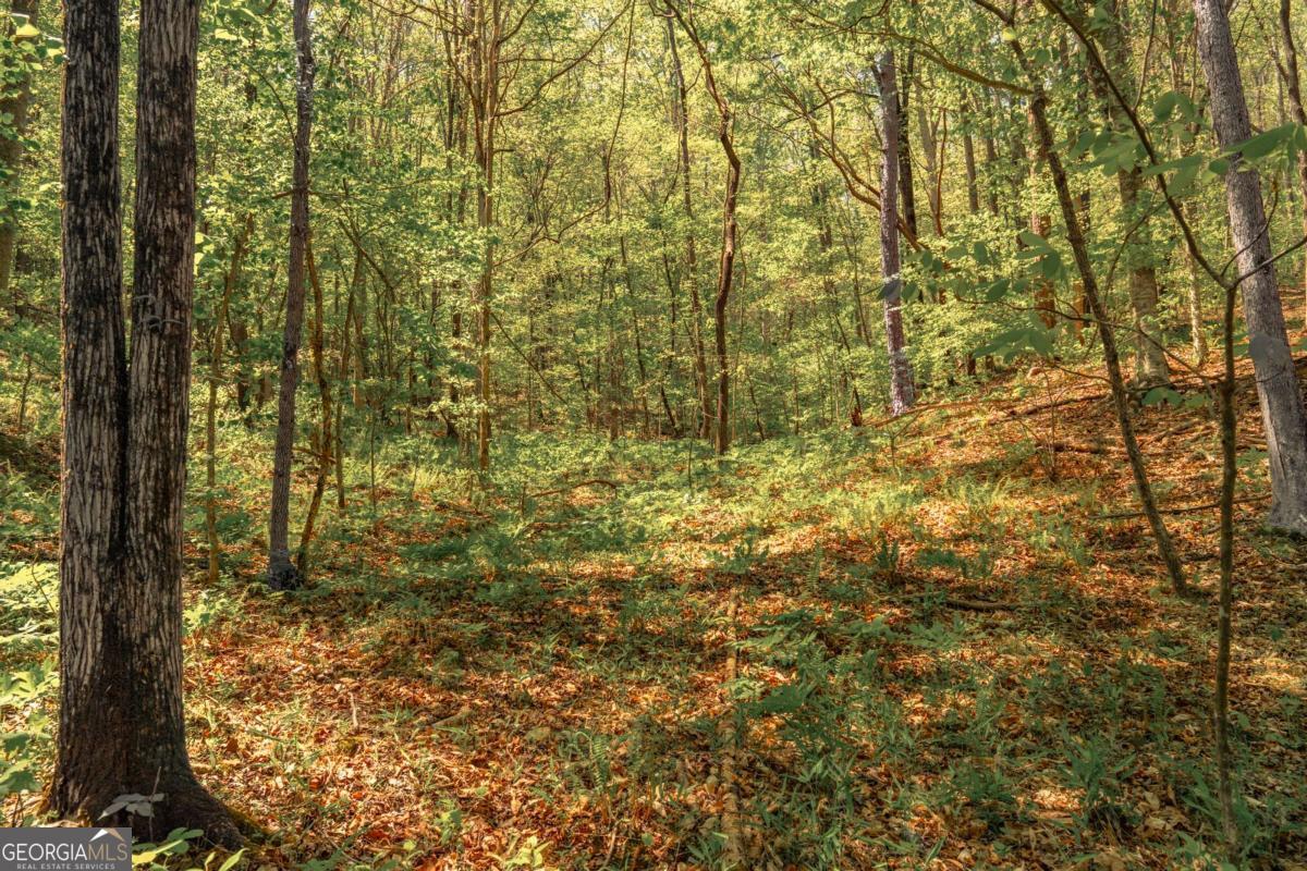 0 Hancock Mountain Trail Property Photo 22