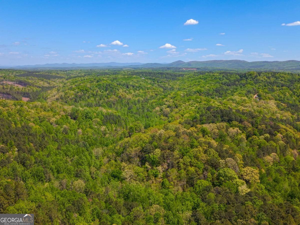 0 Hancock Mountain Trail Property Photo 23
