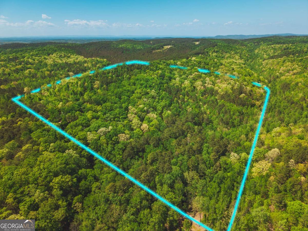 0 Hancock Mountain Trail Property Photo 28
