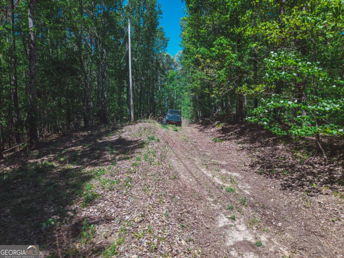 0 Hancock Mountain Trail Property Photo 29