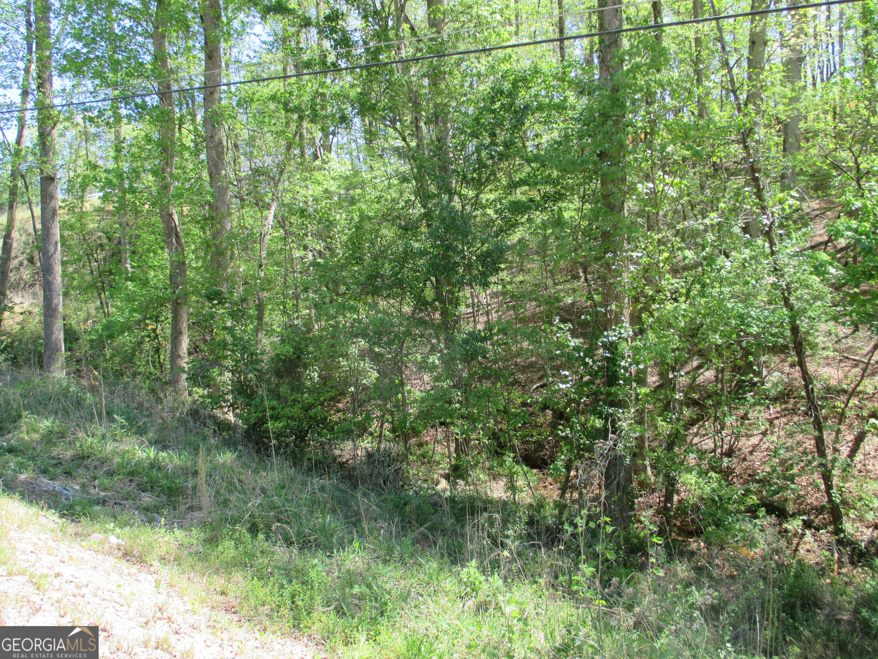 0 Morrison Moore Parkway E Property Photo 4