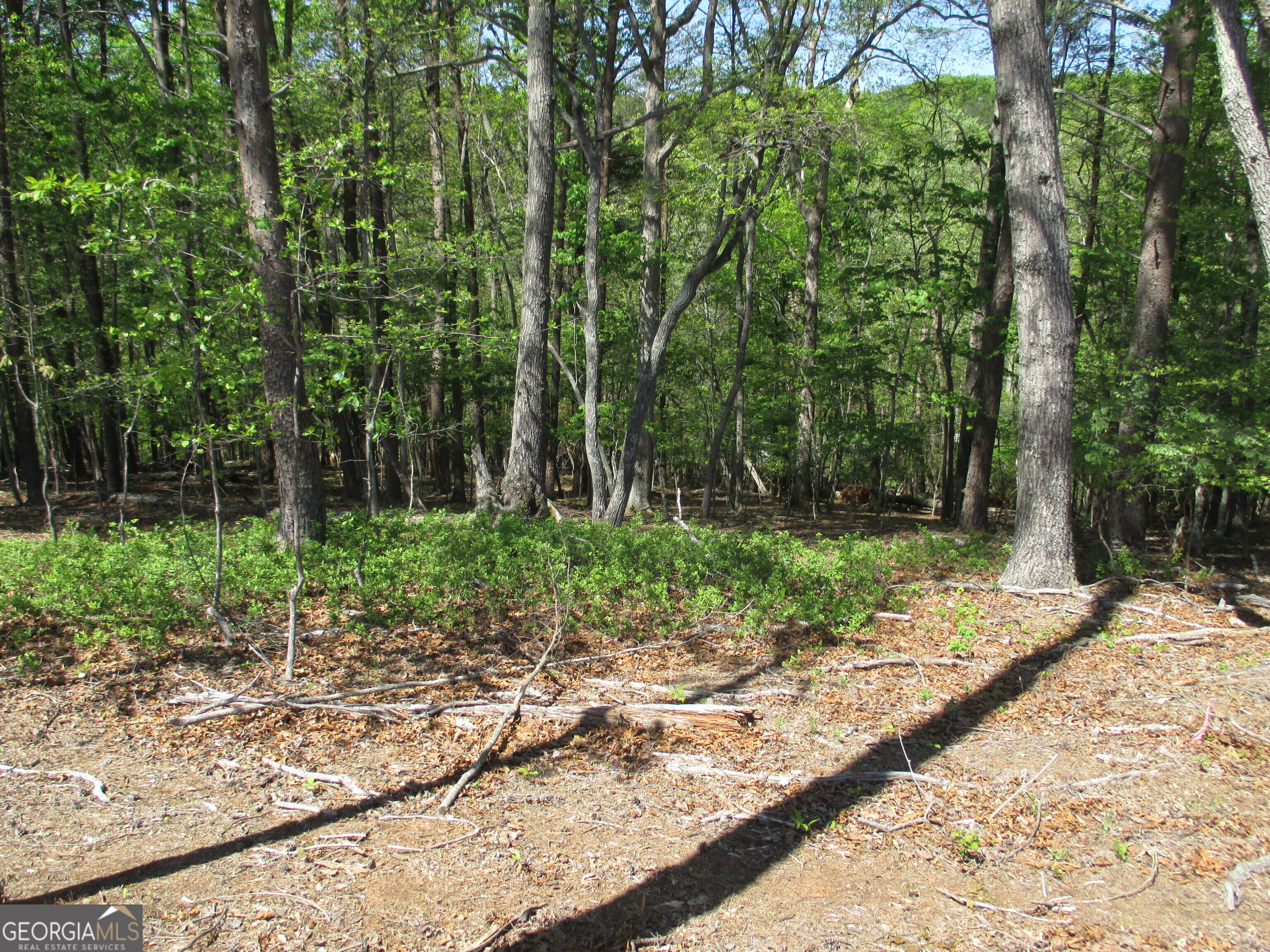 0 Morrison Moore Parkway E Property Photo 9